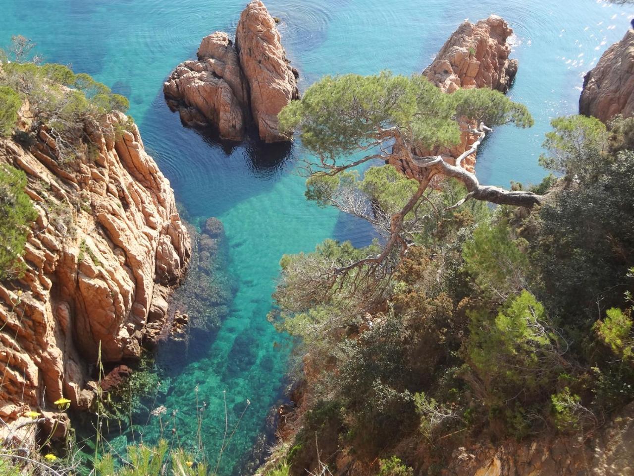 Girorooms Sant Antoni De Calonge Torre Valentina Playa Exterior foto